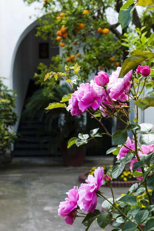 サンタニェッロ Back To Sorrento Bed & Breakfast エクステリア 写真